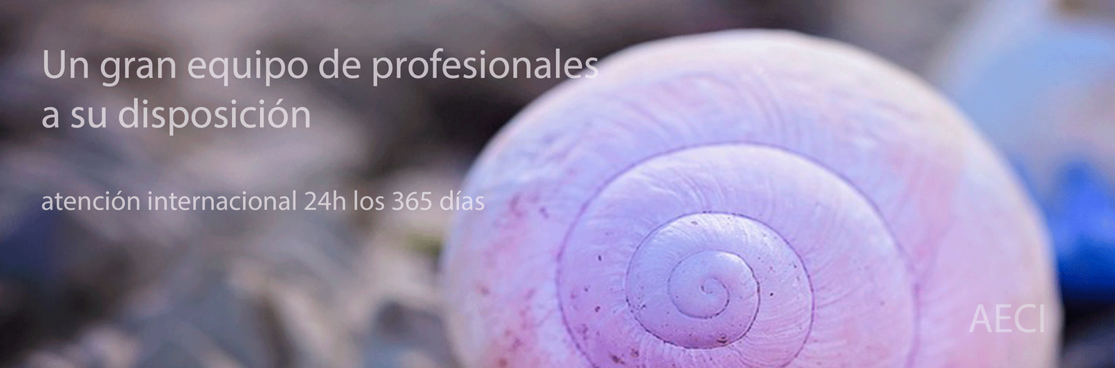 Vinaora Nivo Slider 3.x