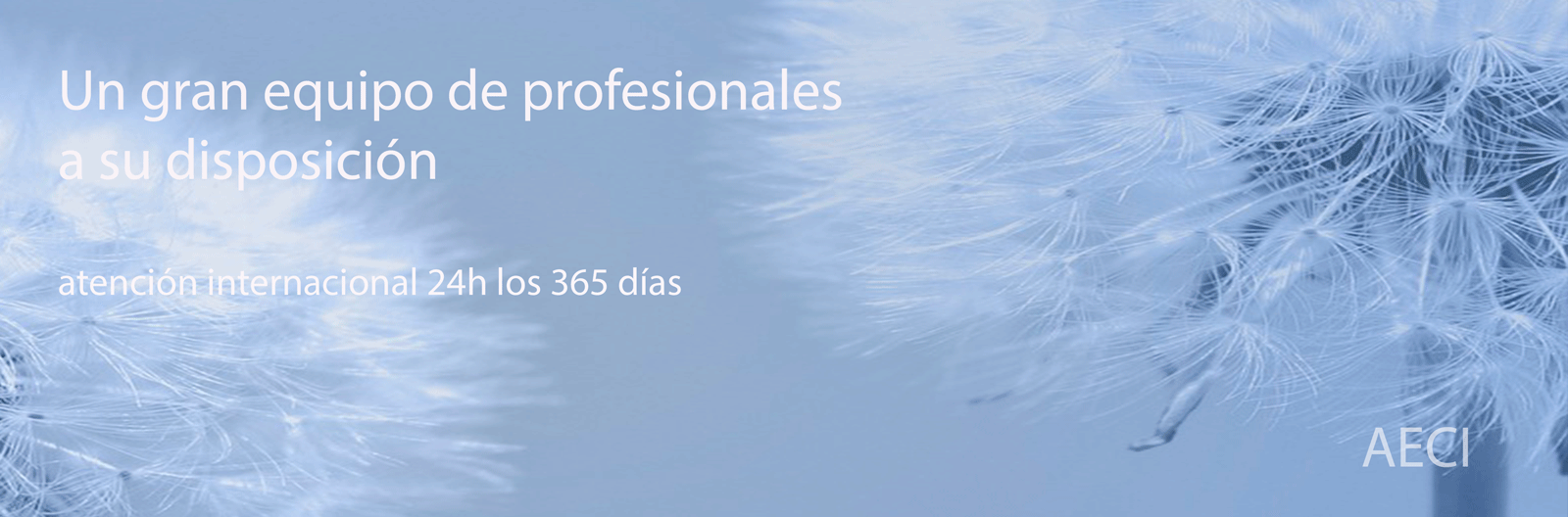 Vinaora Nivo Slider 3.x