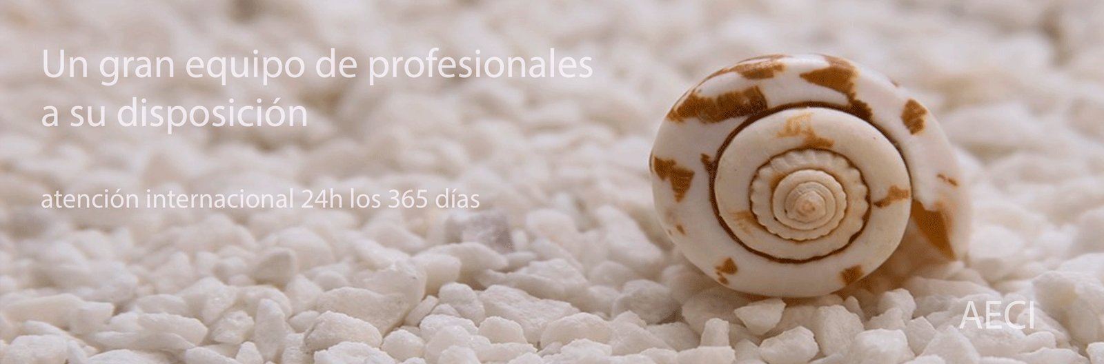 Vinaora Nivo Slider 3.x