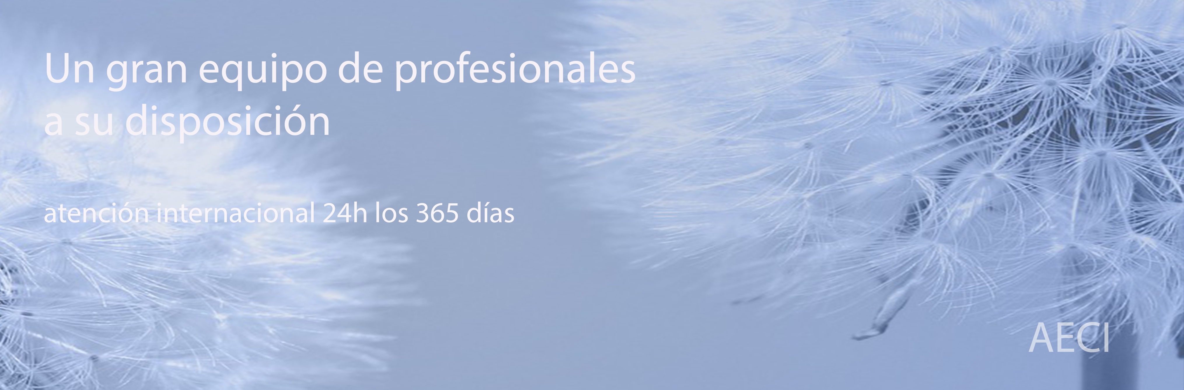 Vinaora Nivo Slider 3.x